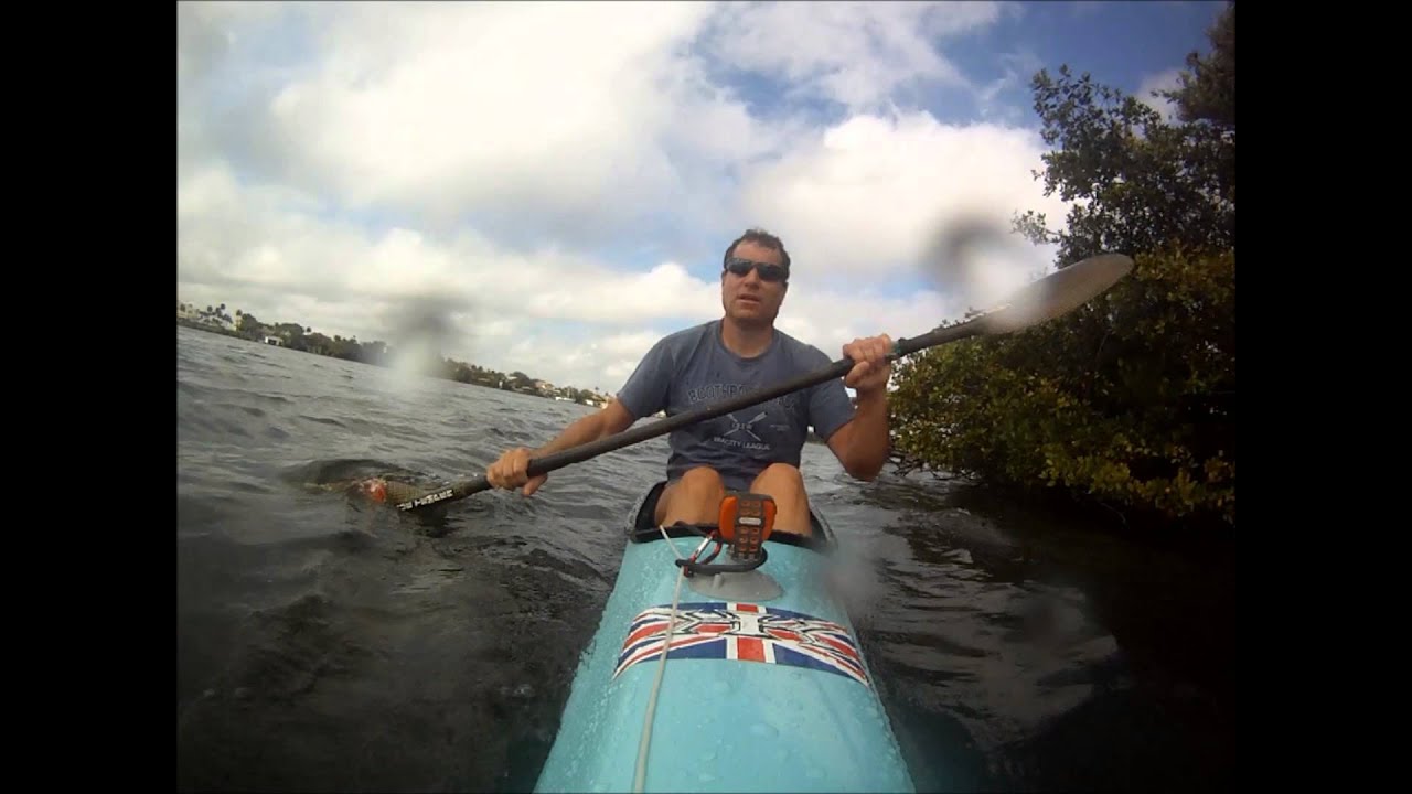 Kayaker Attacked By Alligator
