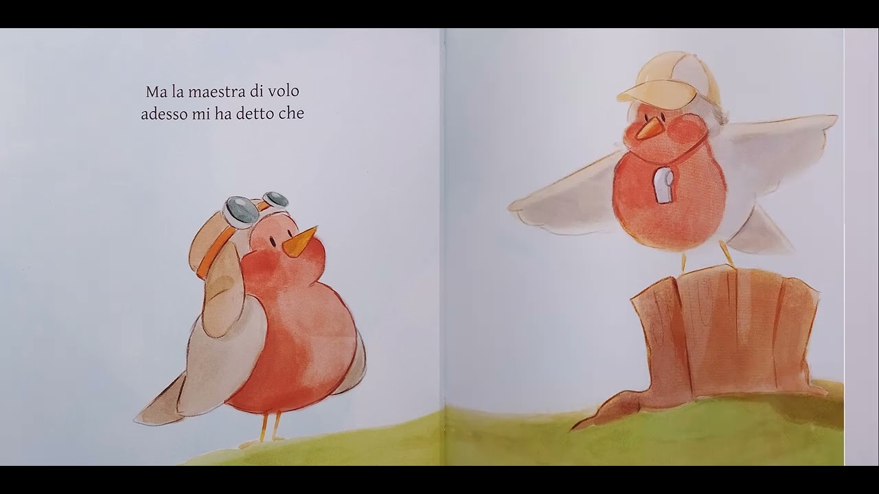 Non imparerò mai a volare