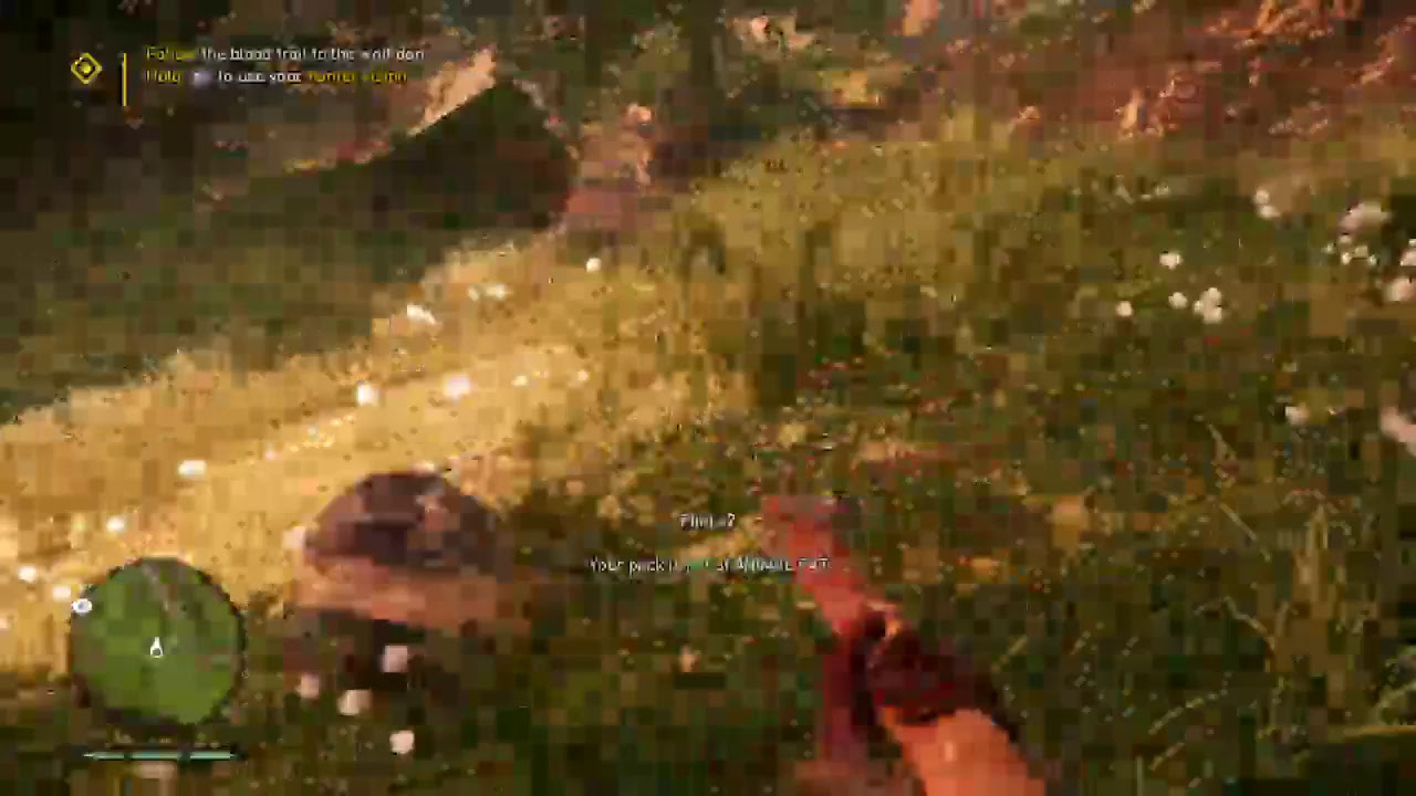 Chukus adventures