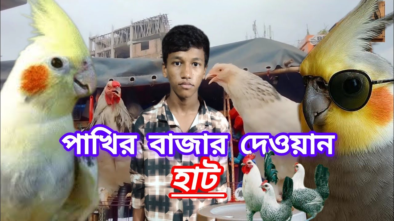 পাখির বাজার চট্টগ্রামের দেওয়ান হাট। Birds Hill