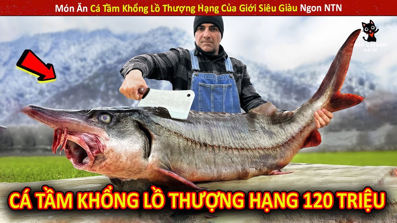 Món Ăn Cá Tầm Khổng Lồ Thượng Hạng Của Giới Siêu Giàu Ngon NTN || Review Giải Trí Đời Sống