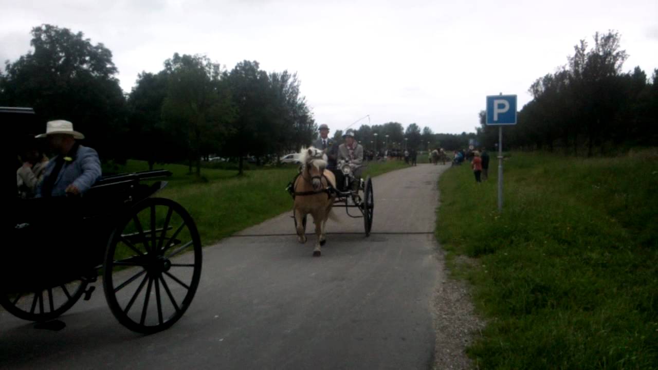 Santpoort dorpsfeest Koetsen