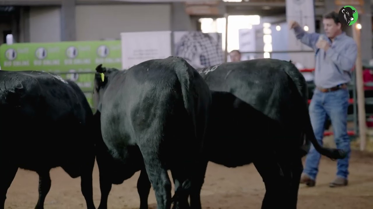 11   Functional Efficiency   Marbling and Muscle