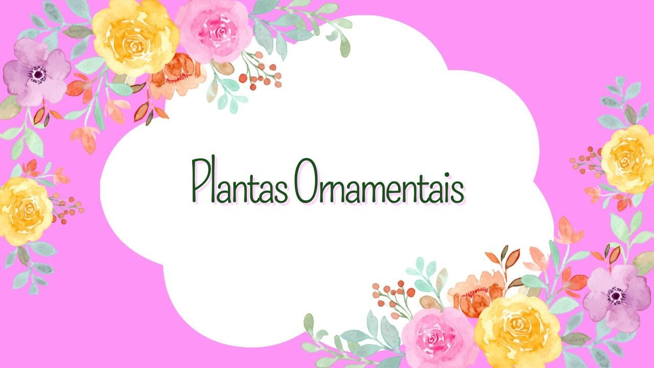 Plantas Ornamentais: Como Escolher e Cuidar para Transformar Seu Jardim