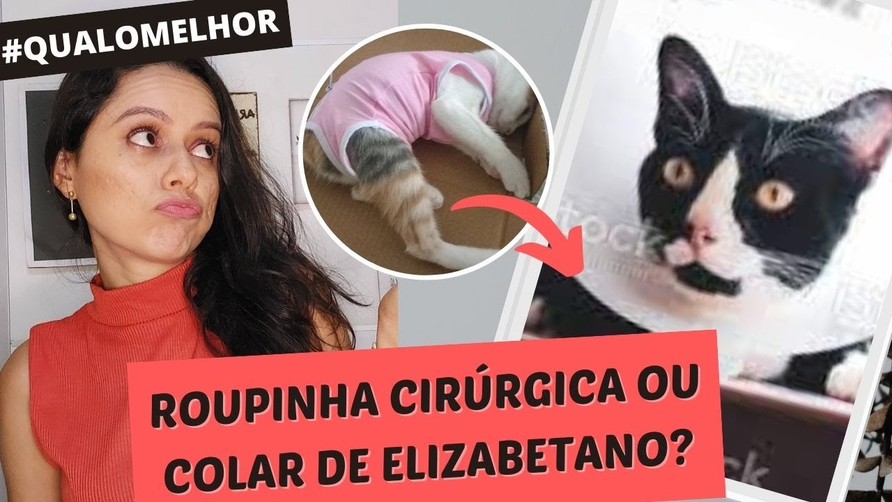 Roupinha Cirúrgica ou Colar de Elizabetano Pós-castração? Qual o Melhor? 😯