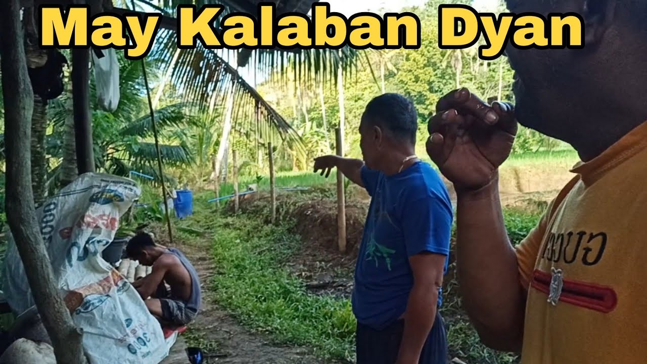 Pa Bukid NAman Ta @japer sniper