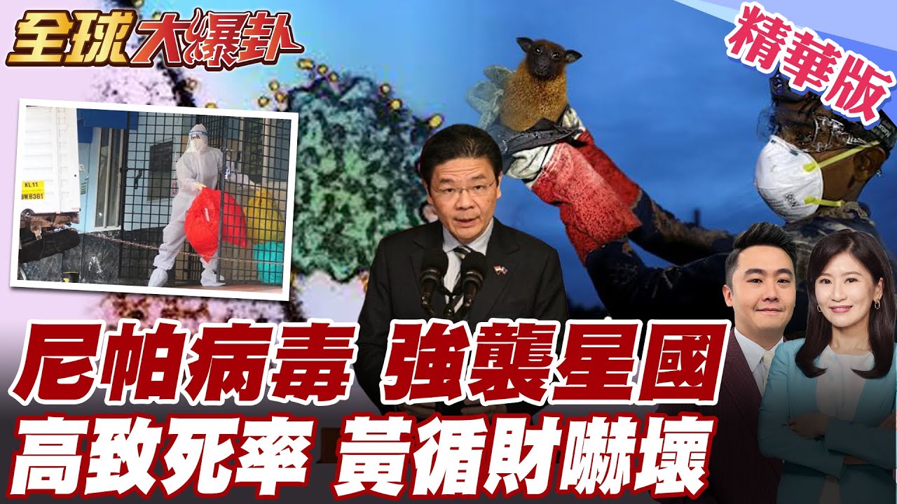 印度再爆尼帕病毒新病例 致死率高達75% 疫情恐擴大新加坡成疫情警示區 黃循財嚇壞 下令新加坡全面嚴防【#全球大爆卦】精華版 20260129@全球大視野Global_Vision