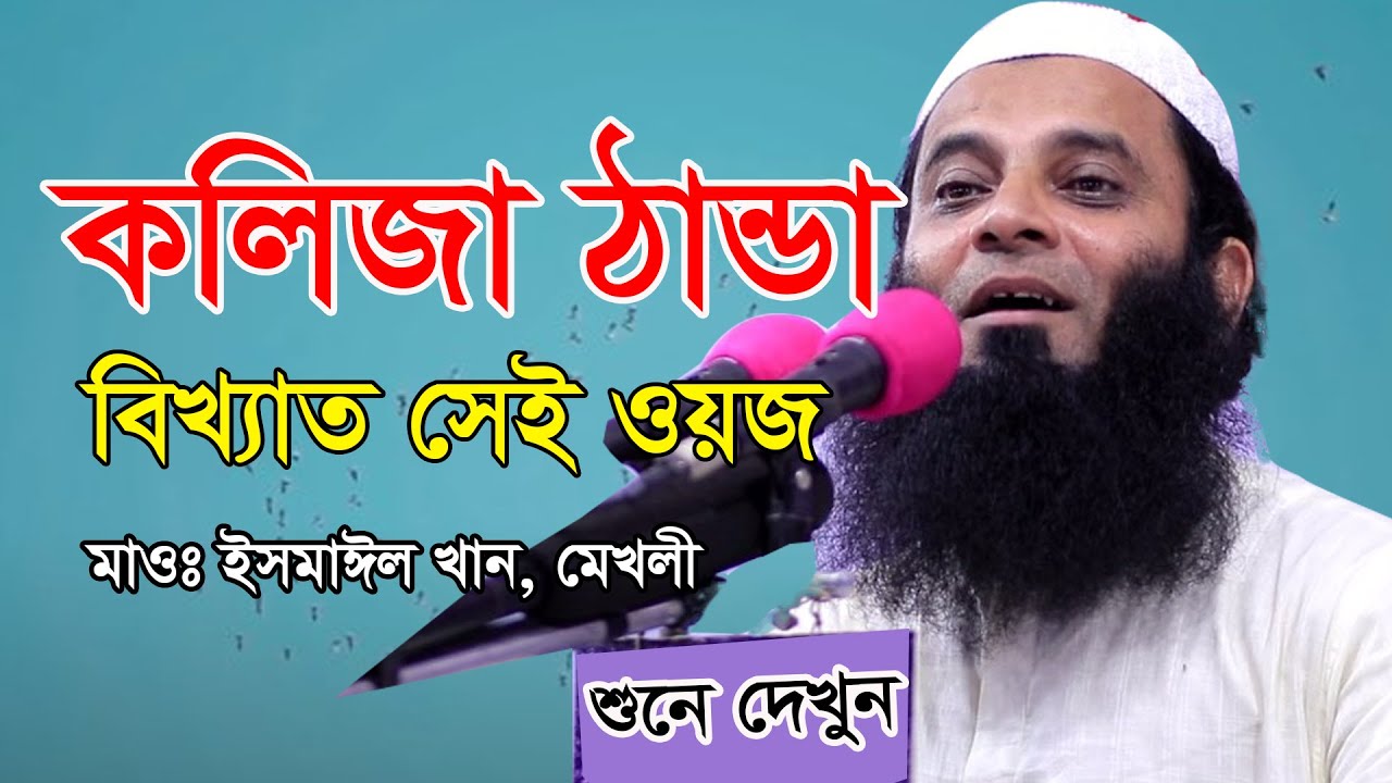 কলিজা ঠান্ডা করা বিখ্যাত সেই ওয়াজ || New waz ||  মাওঃ ইসমাঈল খান মেখলী