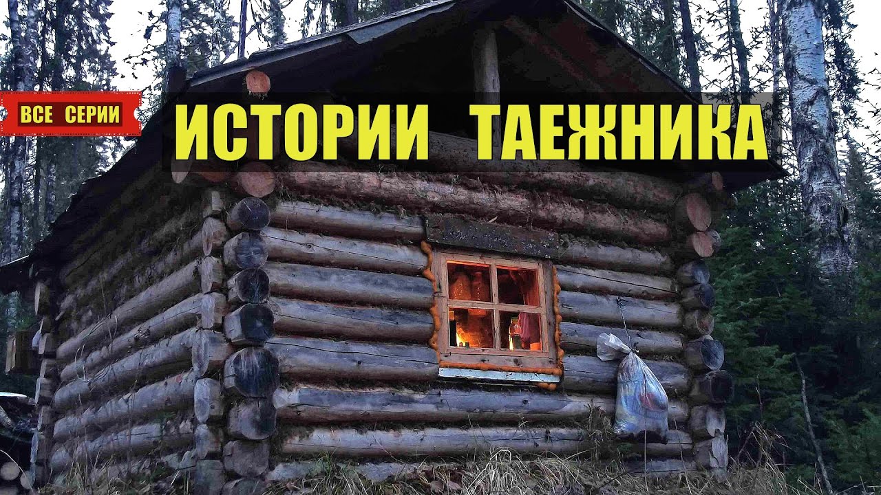 ТАЁЖНЫЕ ИСТОРИИ ЖИЗНЬ в ТАЙГЕ СЕРИАЛ 2025 ВСЕ СЕРИИ АУДИОКНИГА КНИГИ ДОМ в ЛЕСУ ИСТОРИИ из ЖИЗНИ