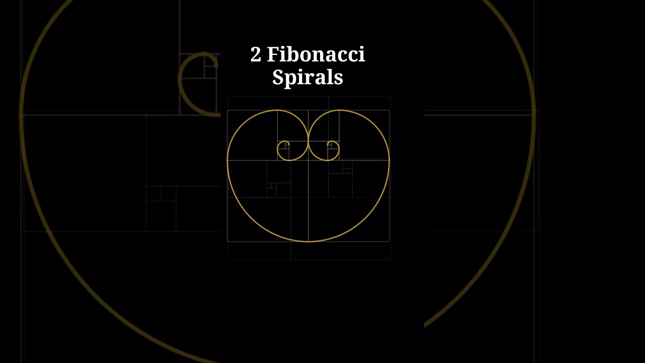 The Beauty of Fibonacci Spiral / Golden Ratio Spiral