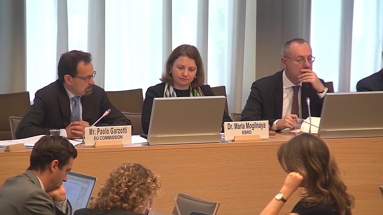 How to Support MSMEs: EU/North American Experiences