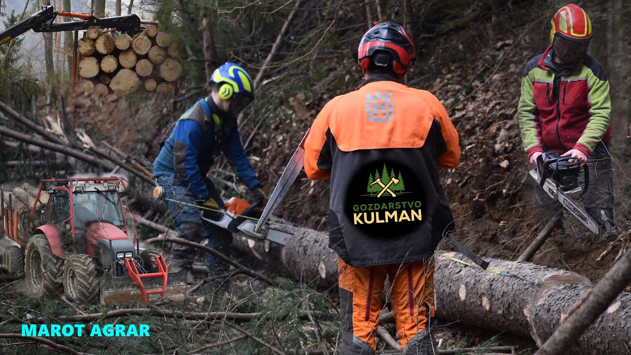 GOZDARSTVO NA VRHUNCU! 🔥 FORESTRY AS ITS PEAK🌲🪓Gozdarstvo Kulman ✩ 2025