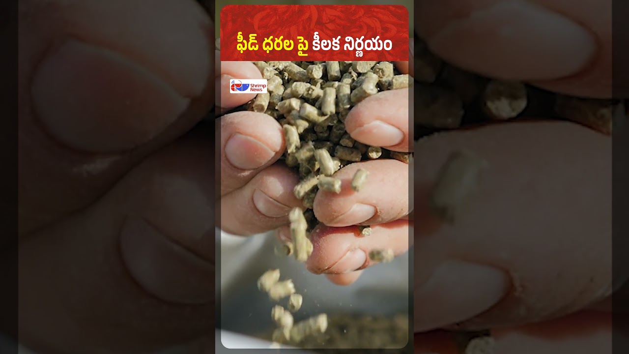 Aqua Feed Price Hike Controlled? AP Government Holds Key Meeting | Fishery News Telugu