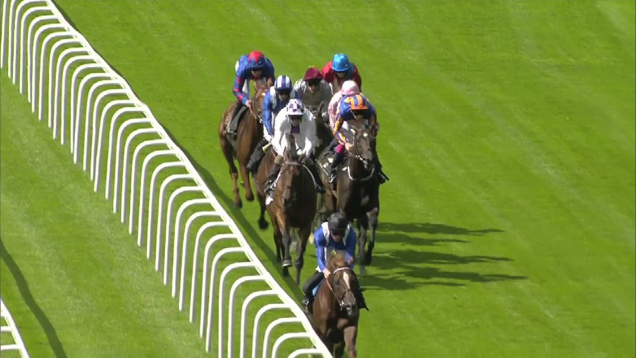 2014 Prince Of Wales's Stakes - Royal Ascot - The Fugue - Racing TV