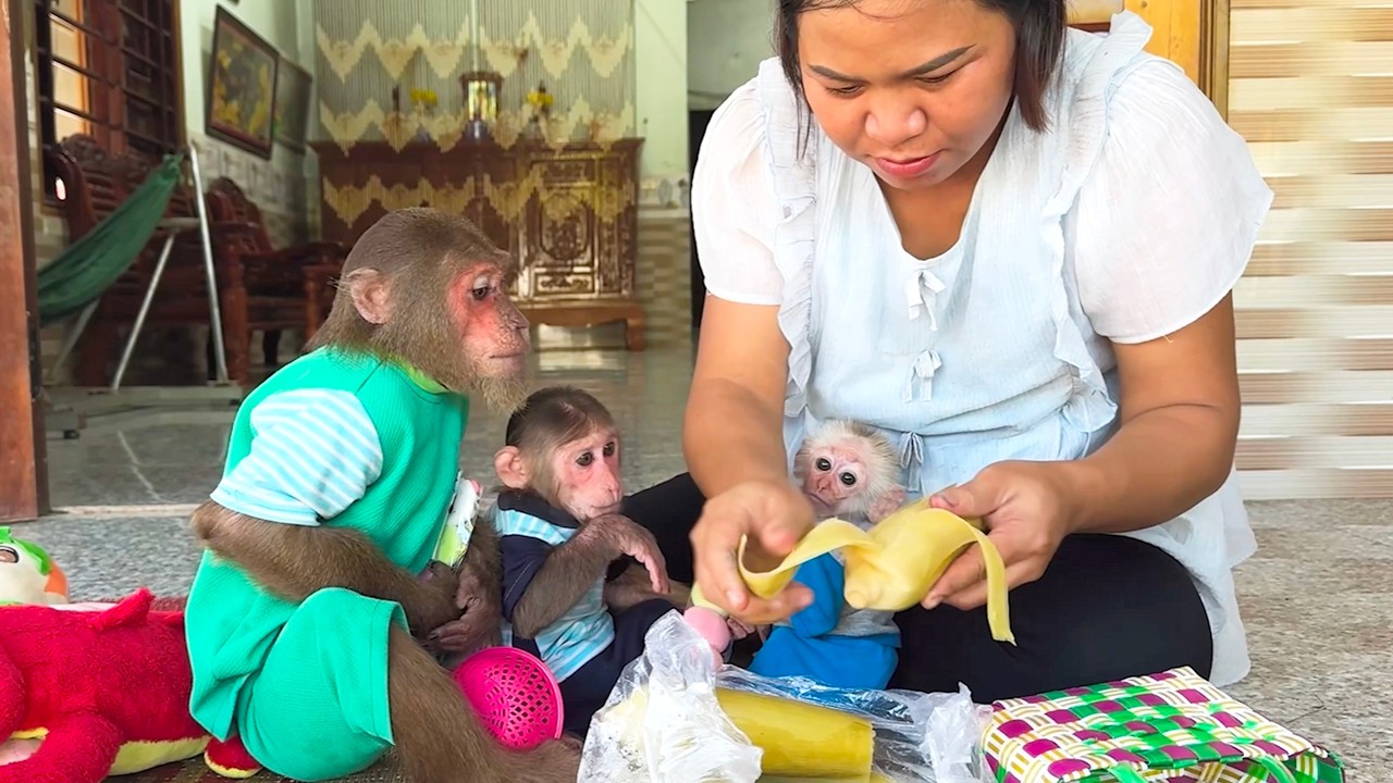 CUTIS’ Family Welcomes Little CUBIS in the Most Special Way