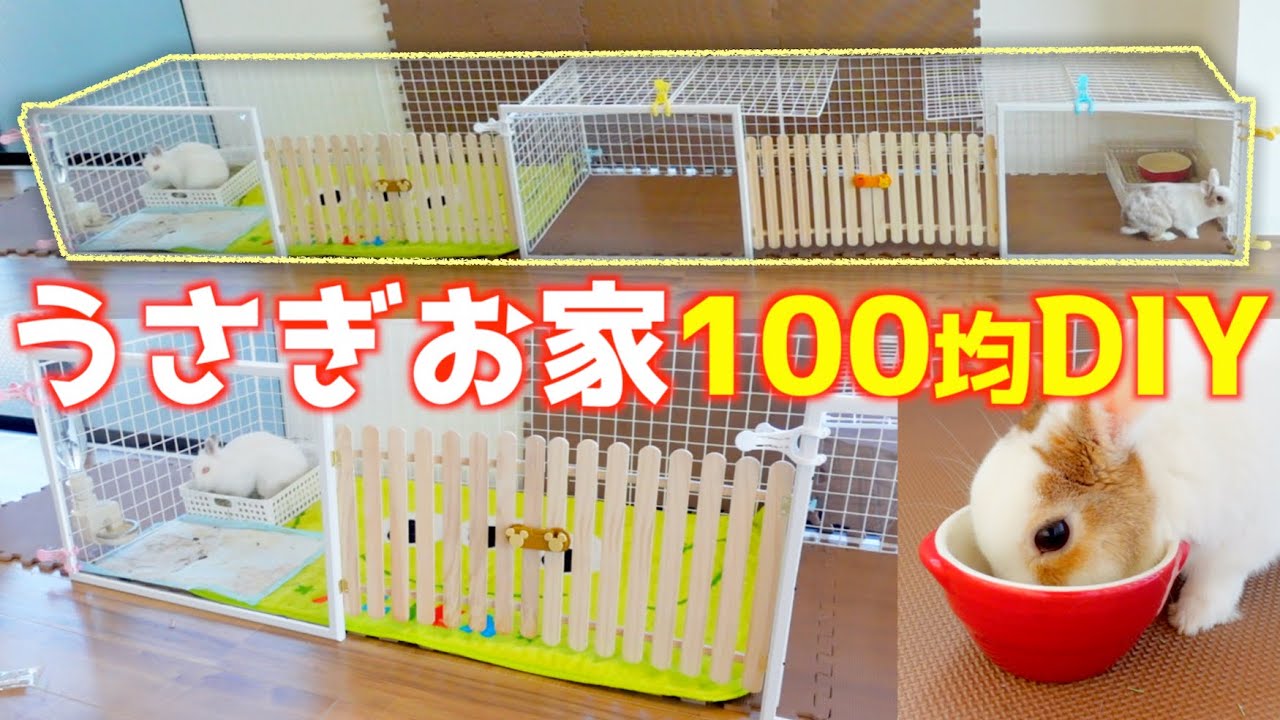 ペットお家100均DIY‼️オシャレでかわいい✨うさぎのお家作ってみた🌟【100円ショップ/ダイソー/セリア】