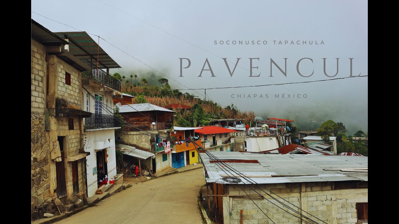 PAVENCUL | pueblos de la SIERRA y zonas altas del soconusco TAPACHULA CHIAPAS MÉXICO