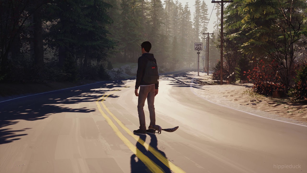 Transported by animals | Life is Strange 2
