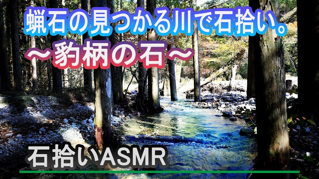 石拾い「豹柄の石」