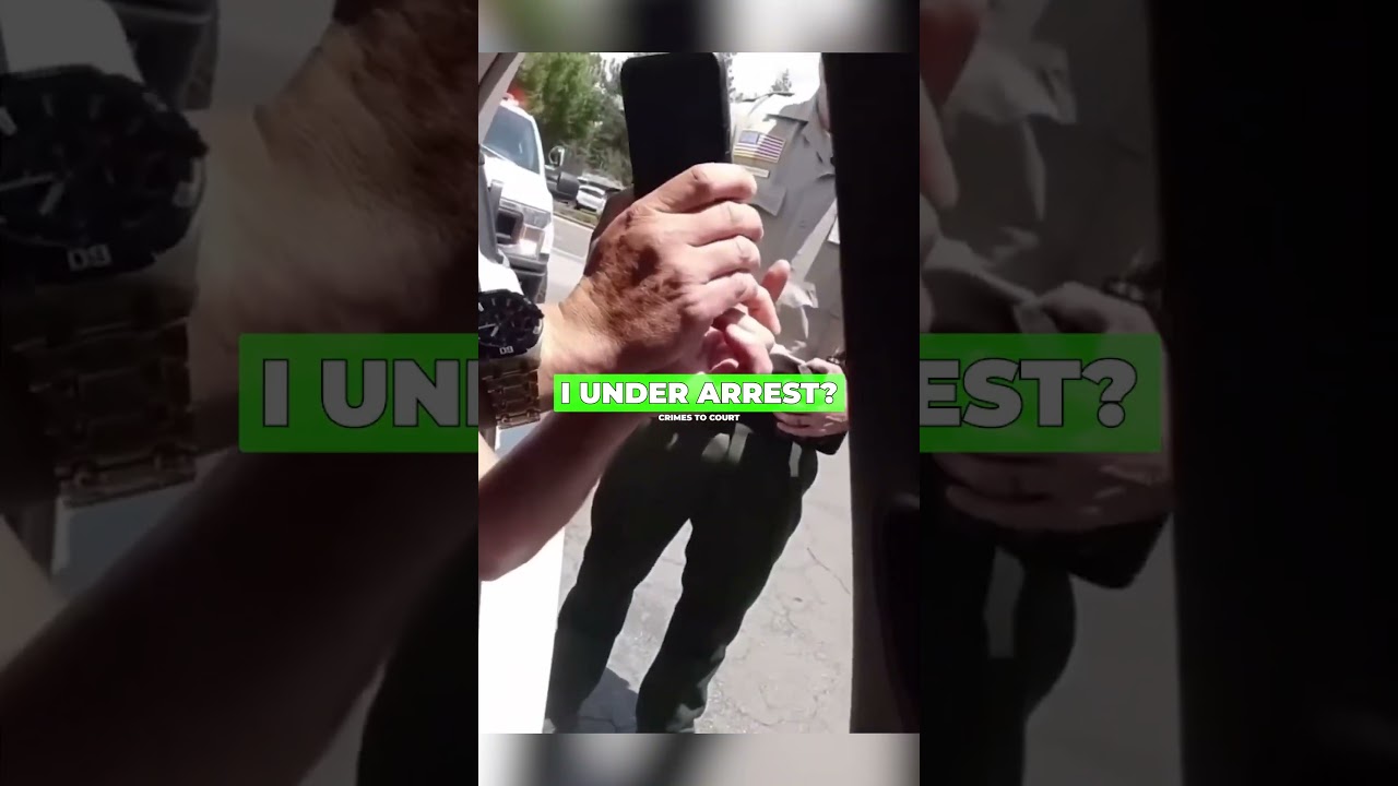 Cop Demands ID From Passenger Big Mistake