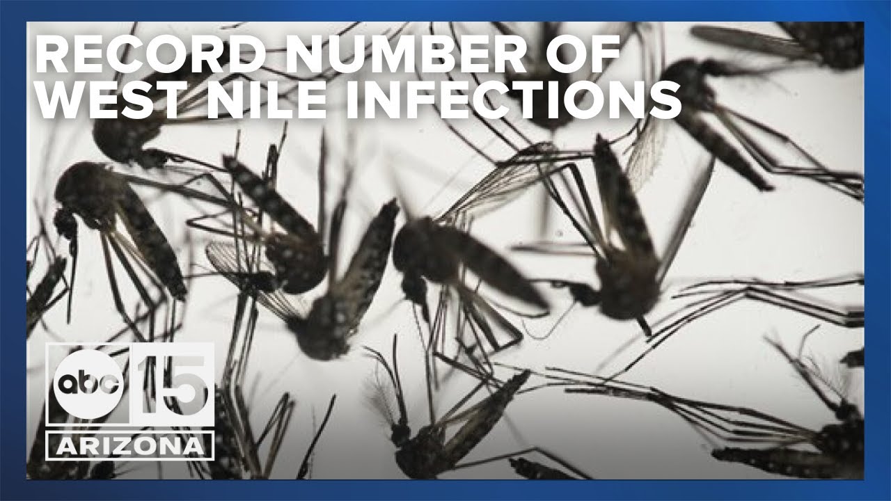 Maricopa County sees highest number of West Nile Virus infections since 2004, new record