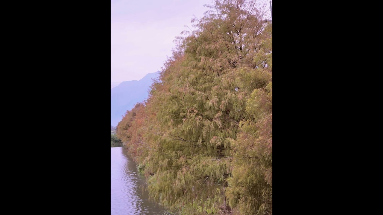 一道江河...Soft E.Piano music
