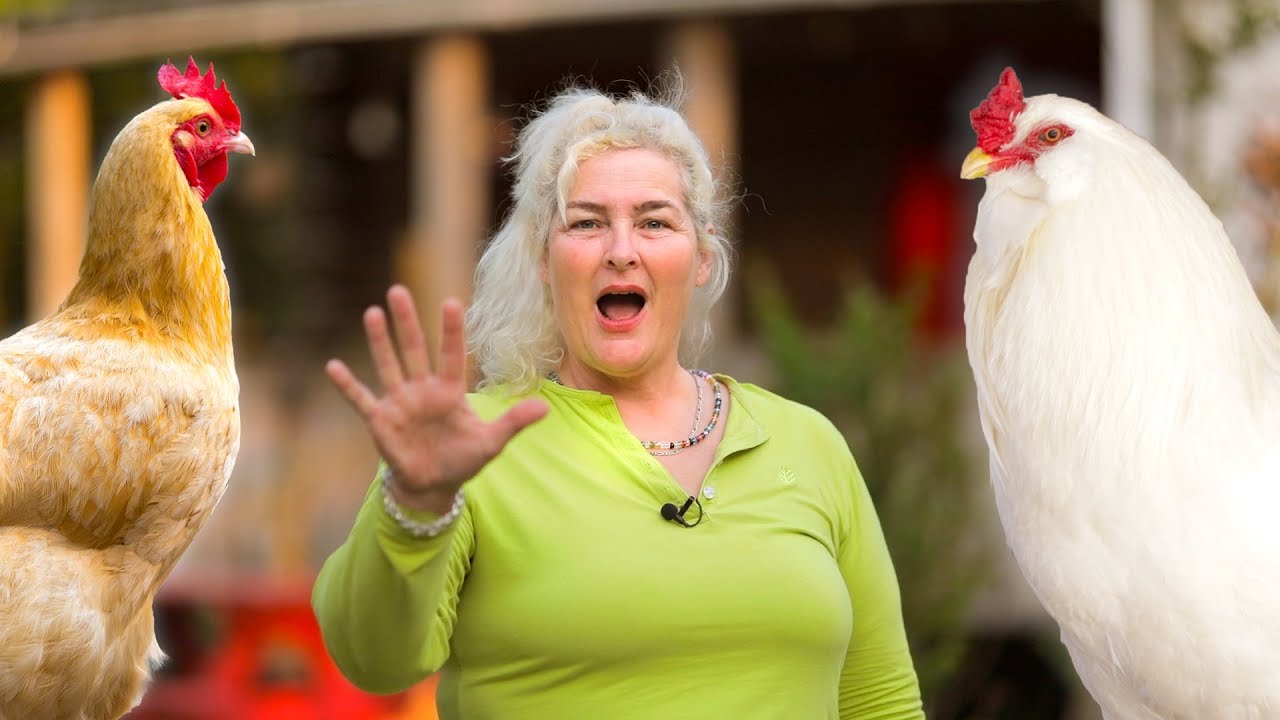5 Mistakes First Time Chicken Owners Make