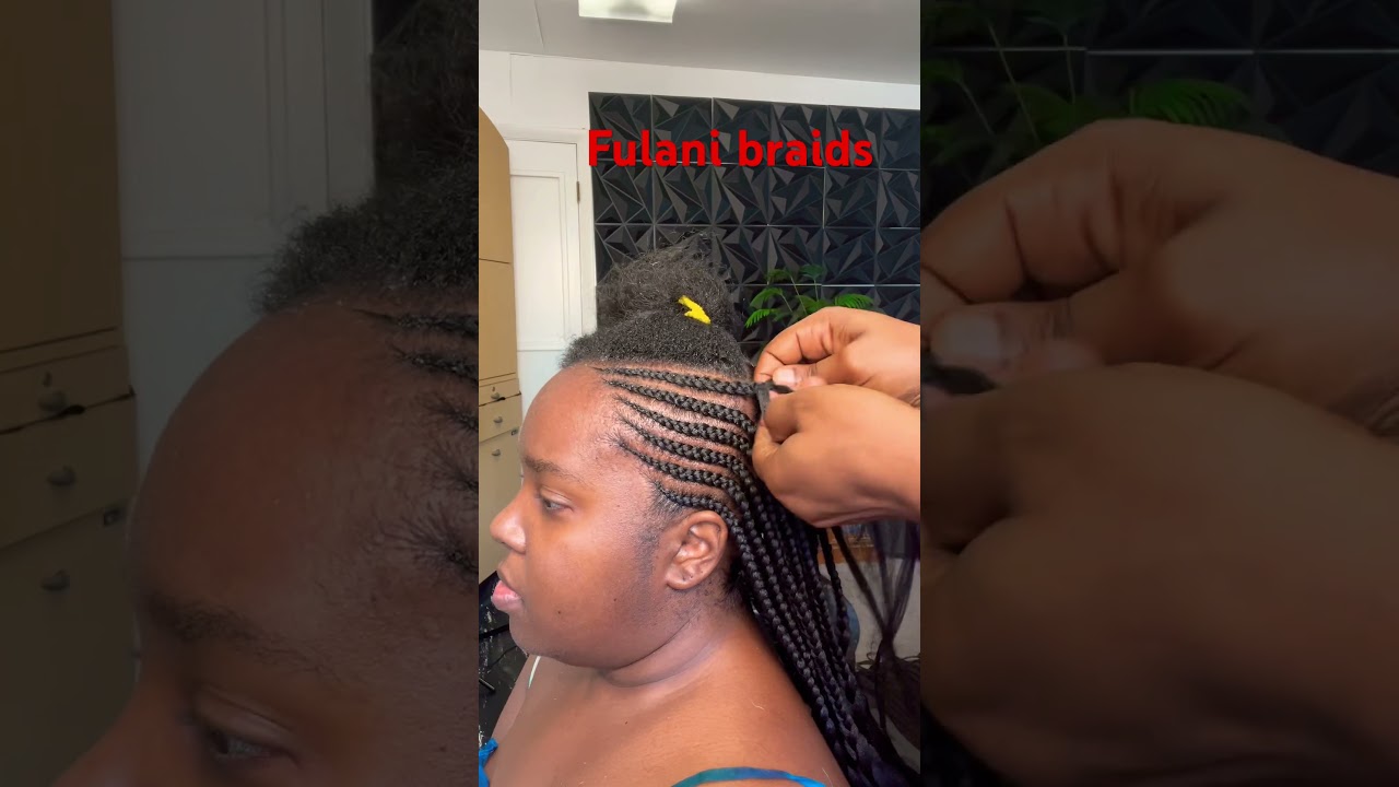 #fulanibraids #fulanibohobraids #fulanibraidss #chicagobraider