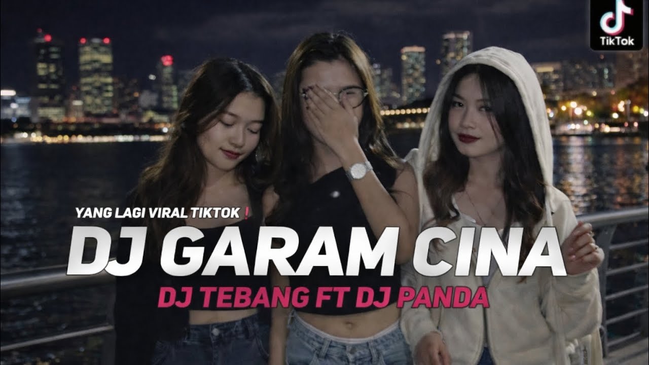 DJ GARAM CINA VIRAL TIKTOK ❗DJ TEBANG FT DJ PANDA 