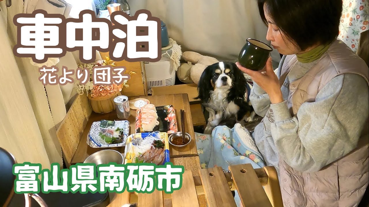 まぼろしのお菓子が食べたい50代看護師と犬1匹。桜舞う春の富山県南砺市へ。五箇山/城端/伊波/福光の千本桜/法林寺温泉/RVパーク南砺市クリエイタープラザ