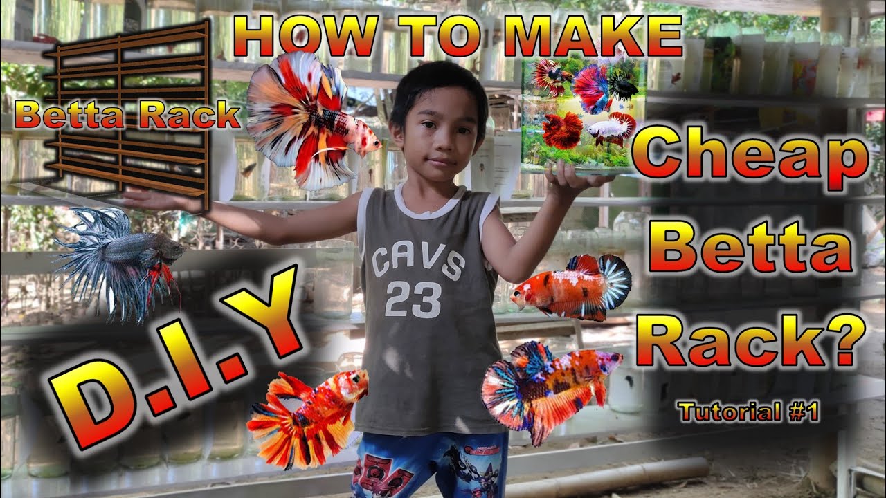 #DIY BETTA RACK #How to do your own Betta Rack #Easy & Cheap #Amazing kids doing some Carpentryworks