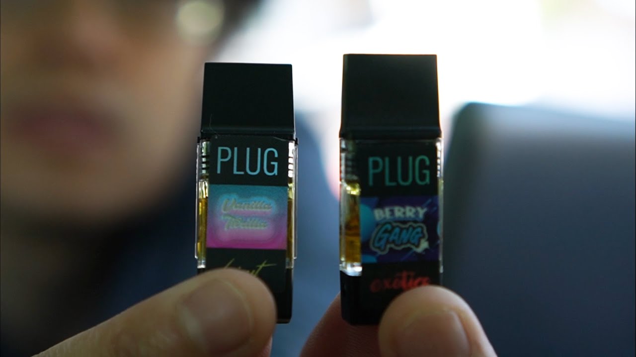 PLUGPLAY : DISTILLATE VS LIVE RESIN