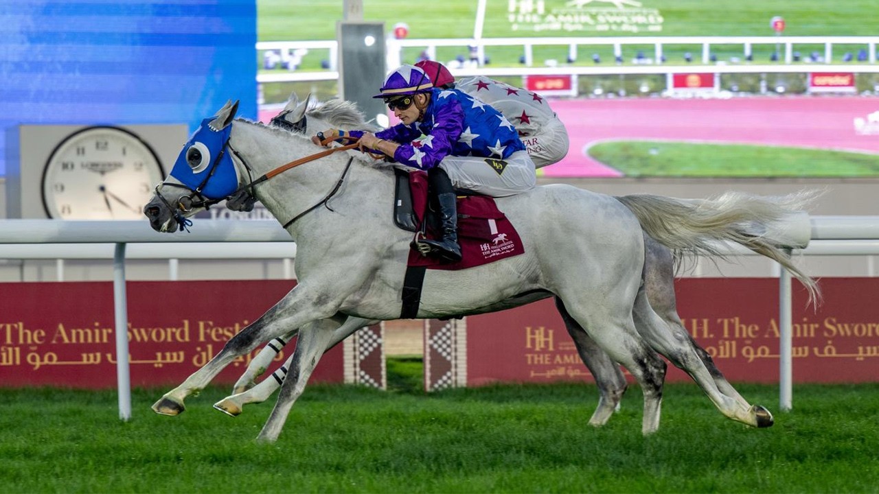 RM 50  Al Rayyan Race 5 -  H.H. The Amir Sword Festival - Day 3