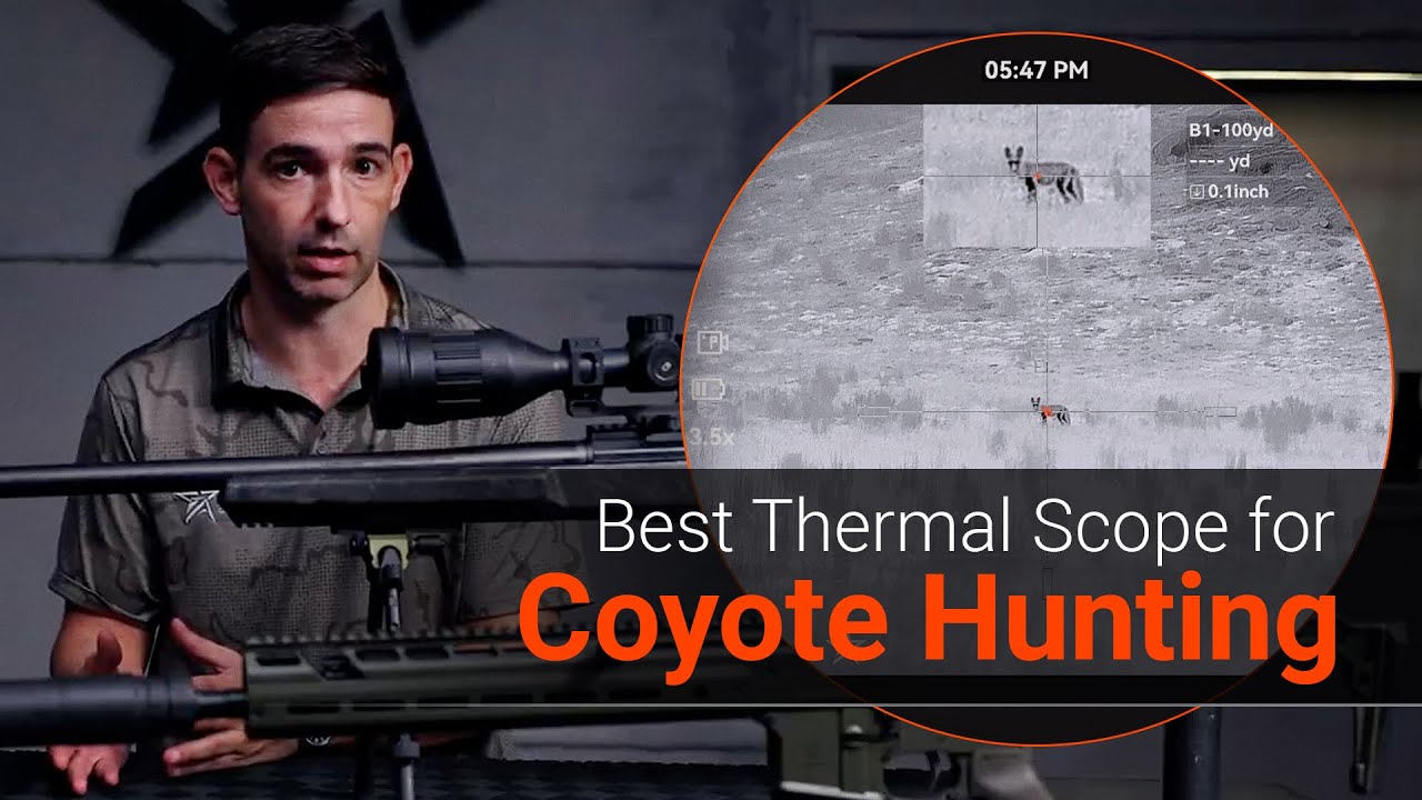Which Thermal Scope Is Best for Coyote Hunting? Thermal Specs Explained