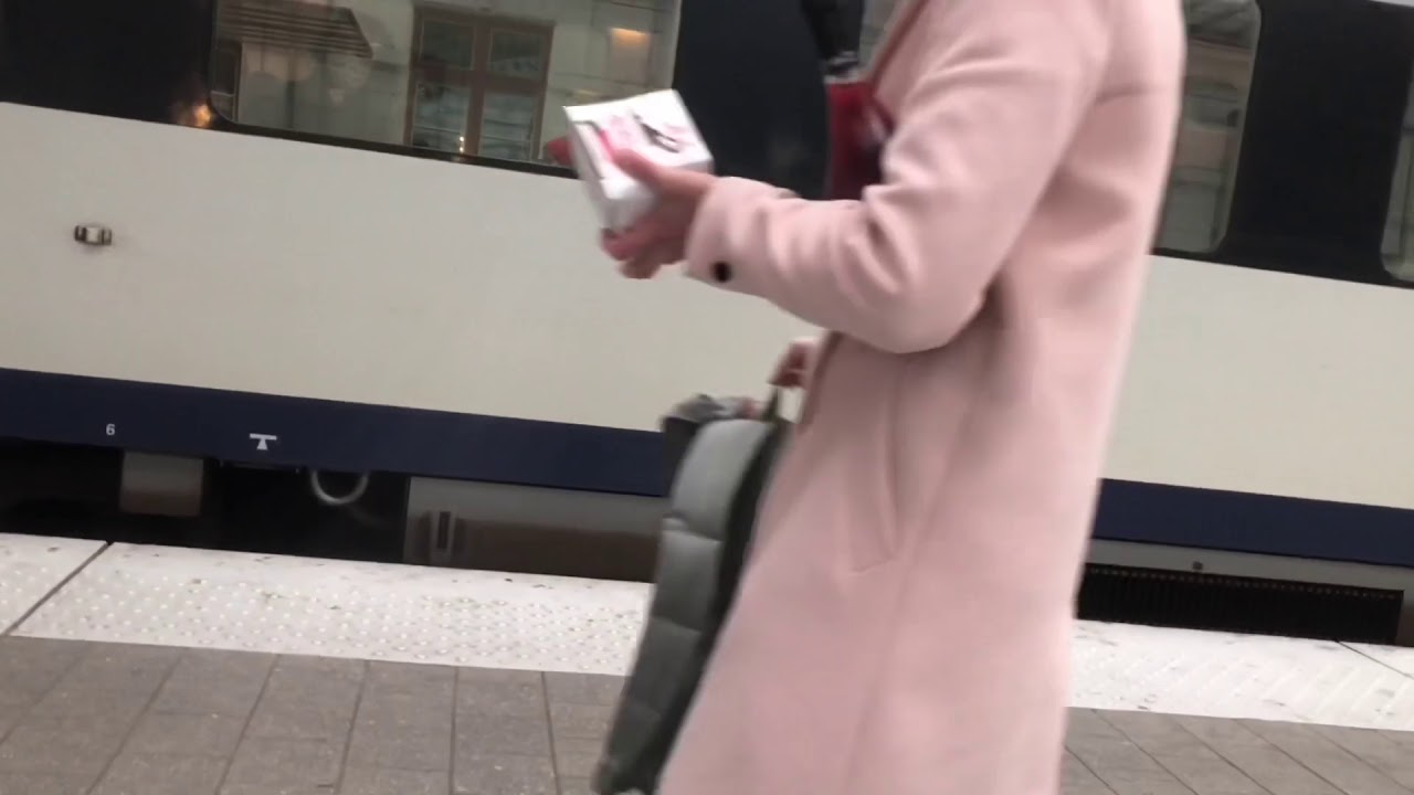 Treinen in Leuven op 19/12/2020