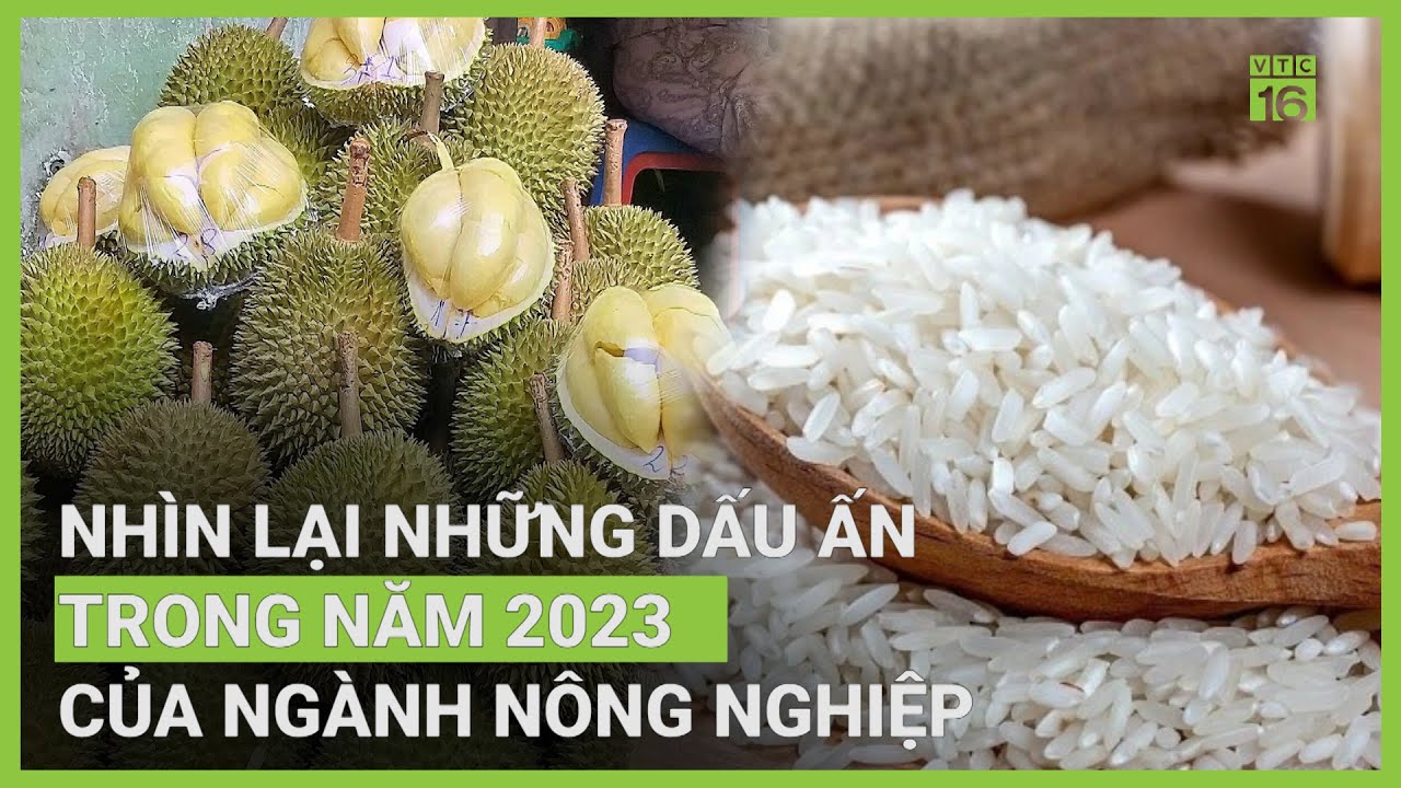Ngành nông nghiệp vượt khó, xuất khẩu mang về trên 53 tỷ USD | VTC16