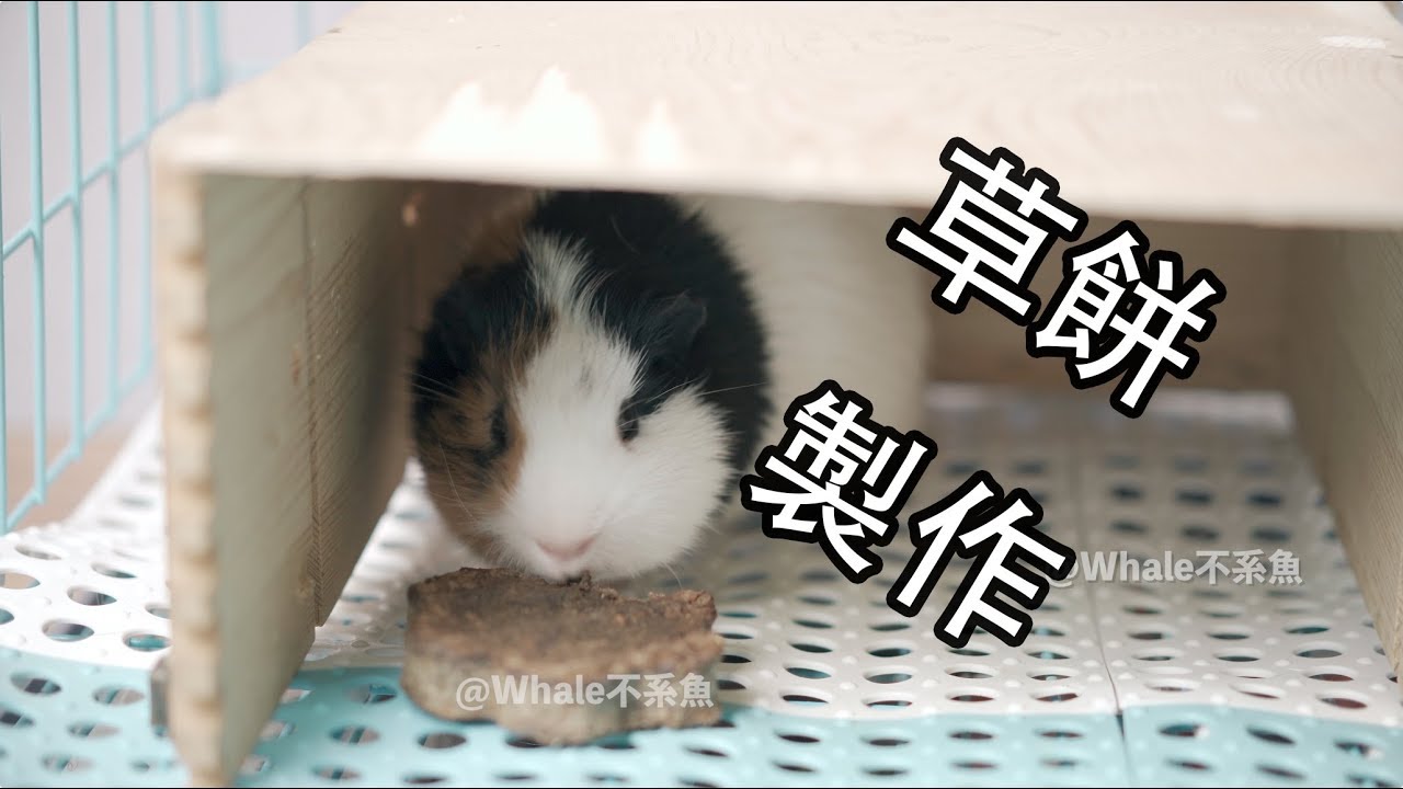 【Whale】香香不散架的草餅製作