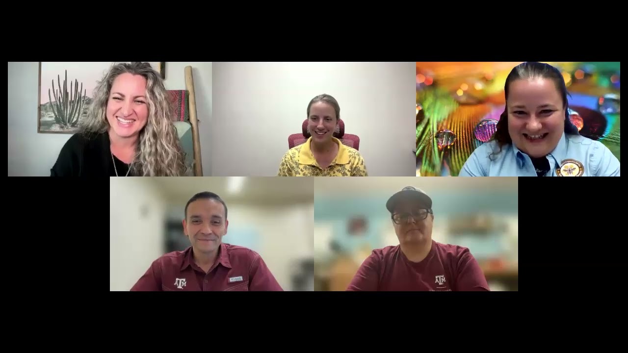 Meet your AgriLife and TAIS bee-friends and learn about three doom and gloom bugs