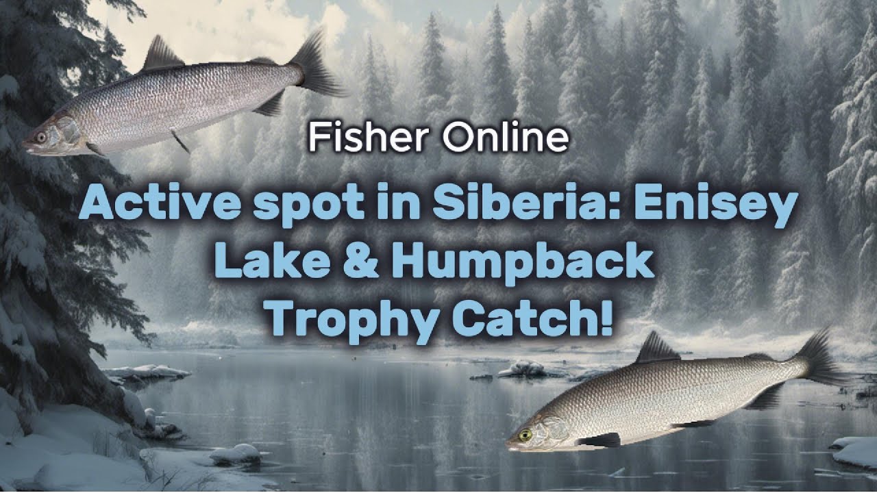 INSANE Lake & Humpback Whitefish Spot in Fisher Online! 🎣 Trophy Catch + Club Task | Siberia: Enisey