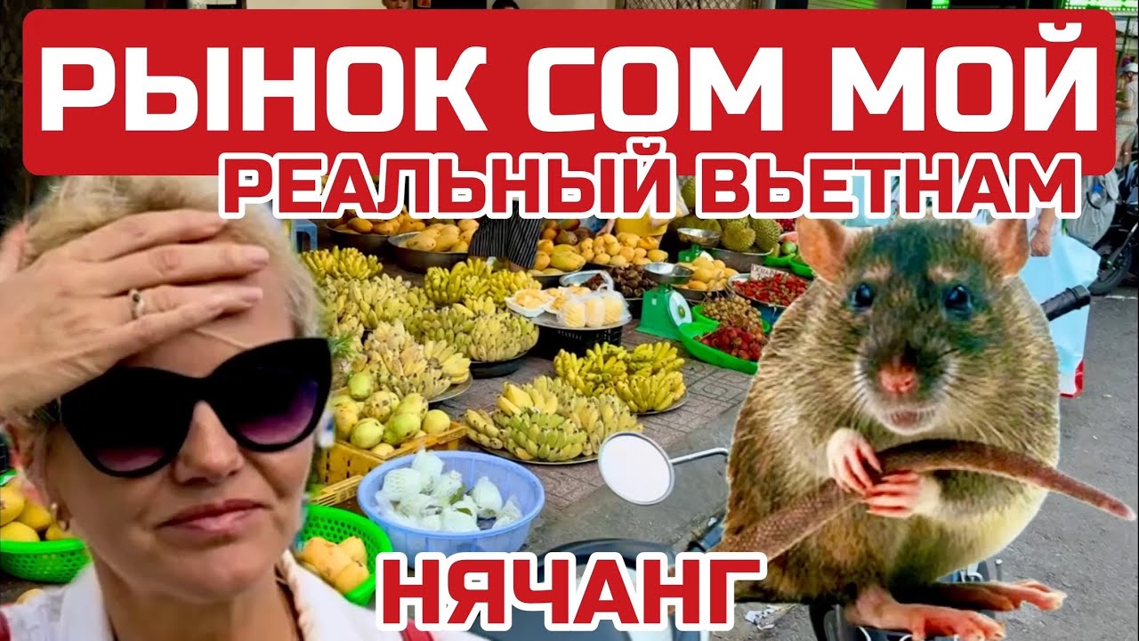 Нячанг. УЖАС Рынок Сом мой кишит крысами. Цены на фрукты ВЕЧЕРОМ.