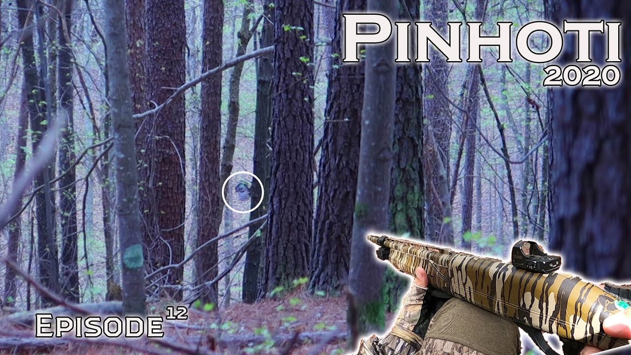 TOUGH HARDWOODS GOBBLERS | PUBLIC LAND | GEORGIA TURKEY HUNTING -Pinhoti 2020