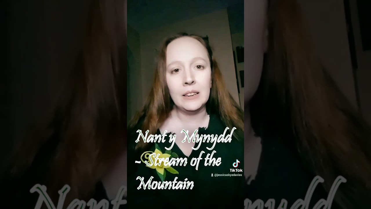 Nant y Mynydd (Stream of the Mountain) - by Ceiriog