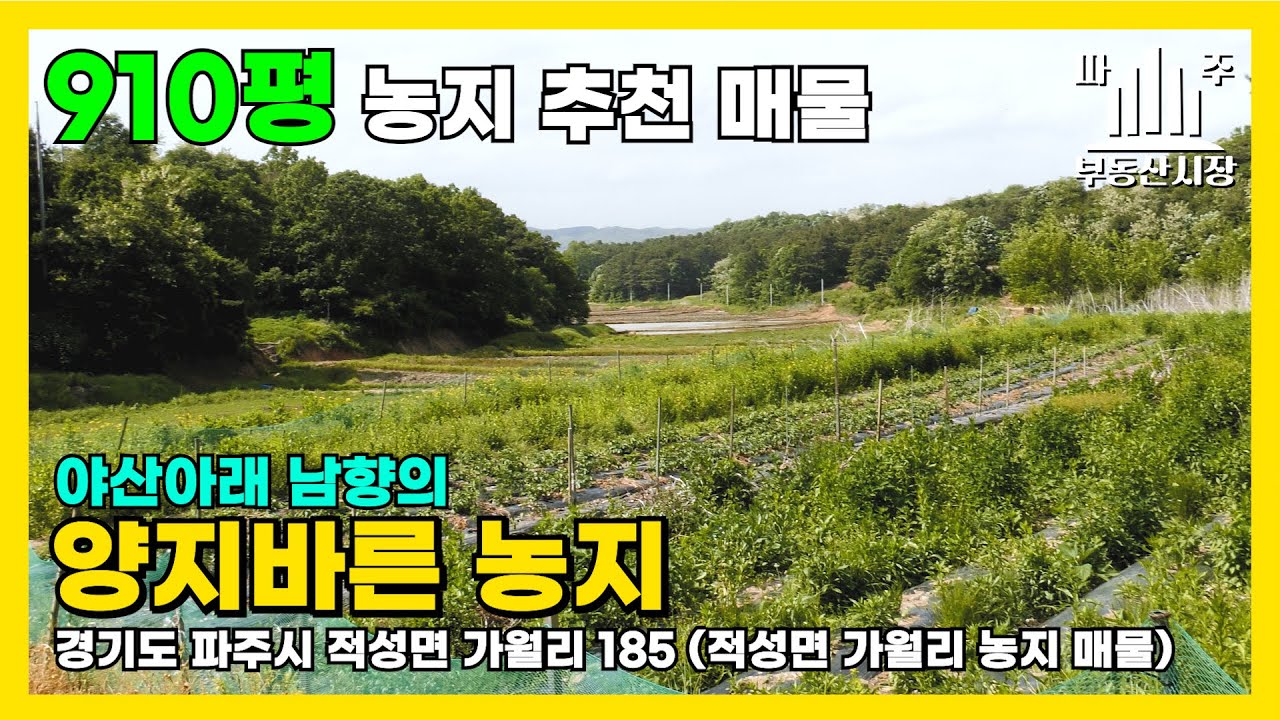 910평 농지 매물입니다 #적성면 #가월리 #5필지 #양지바른