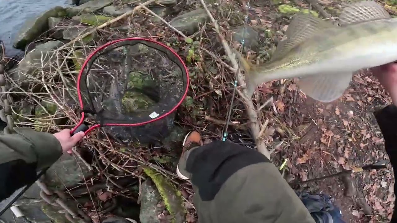 Aventuri pe Ape Sălbatice – În Căutarea Zanderului și a Știucii Năzdrăvane