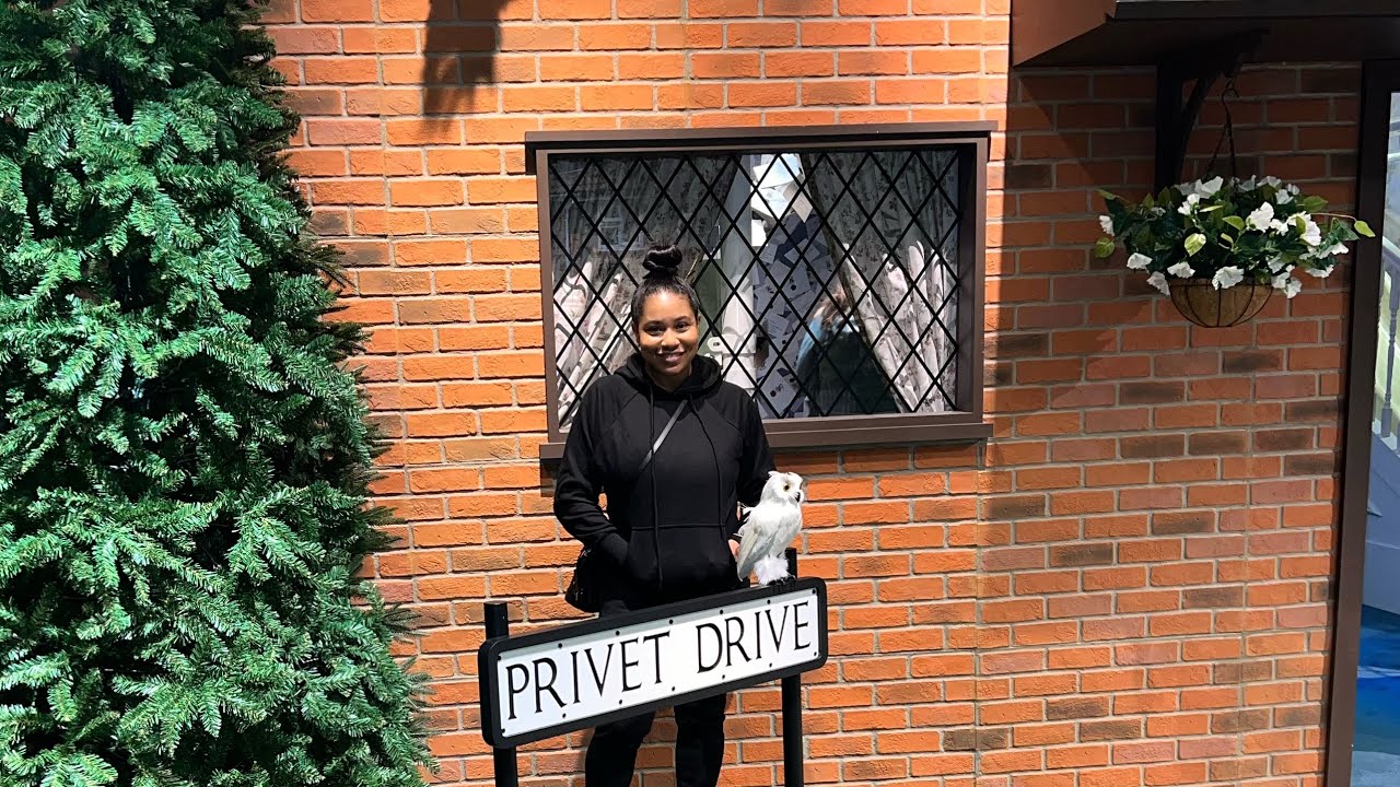 Come with me to Harry Potter: Magic At Play Water Tower Chicago!