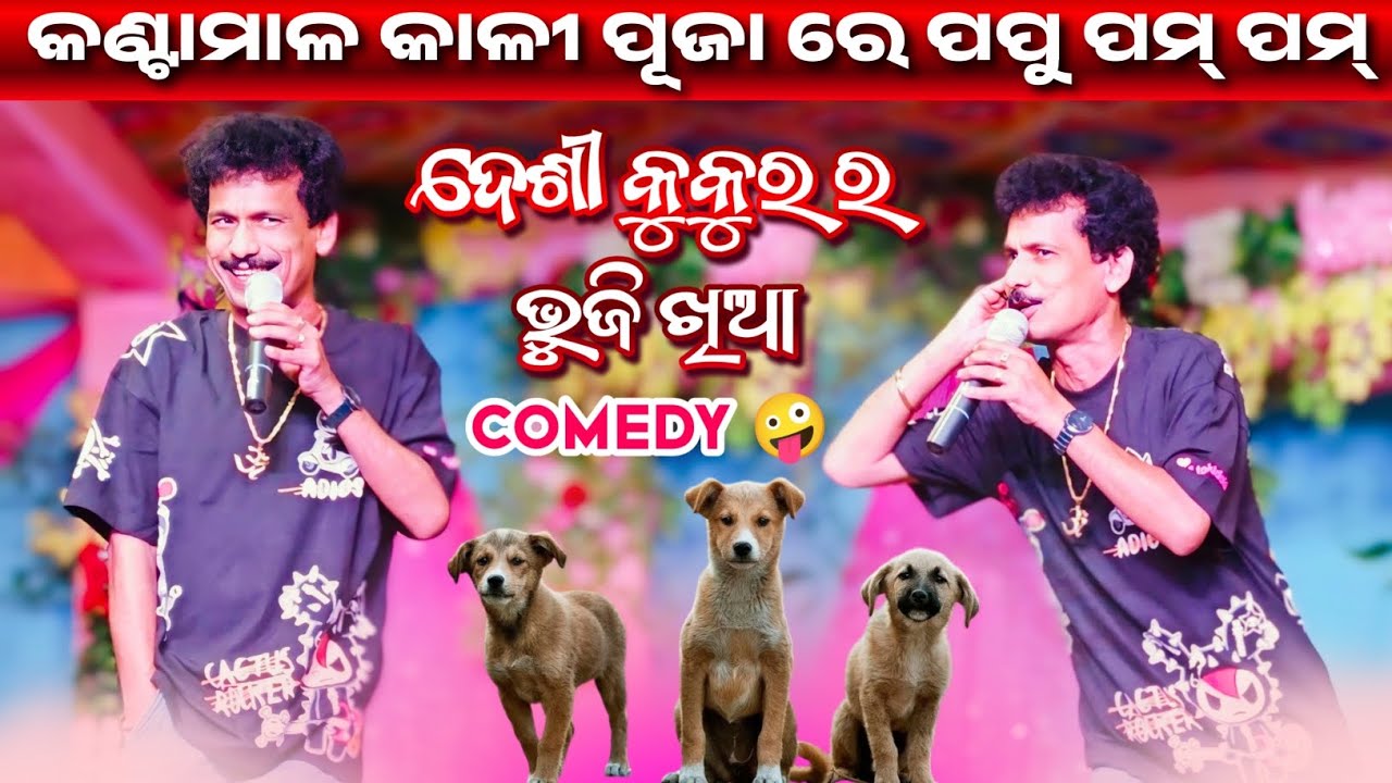 କୁକୁର ର ଭୁଜି ଖିଆ କମେଡି || Kali Puja Kantamal || Papu Pom Pom Comedy || Ok Media