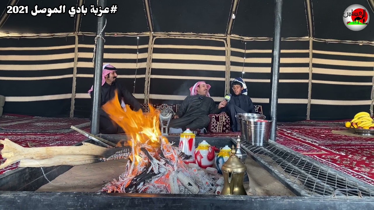 بادي تركي الموصل الهوامله