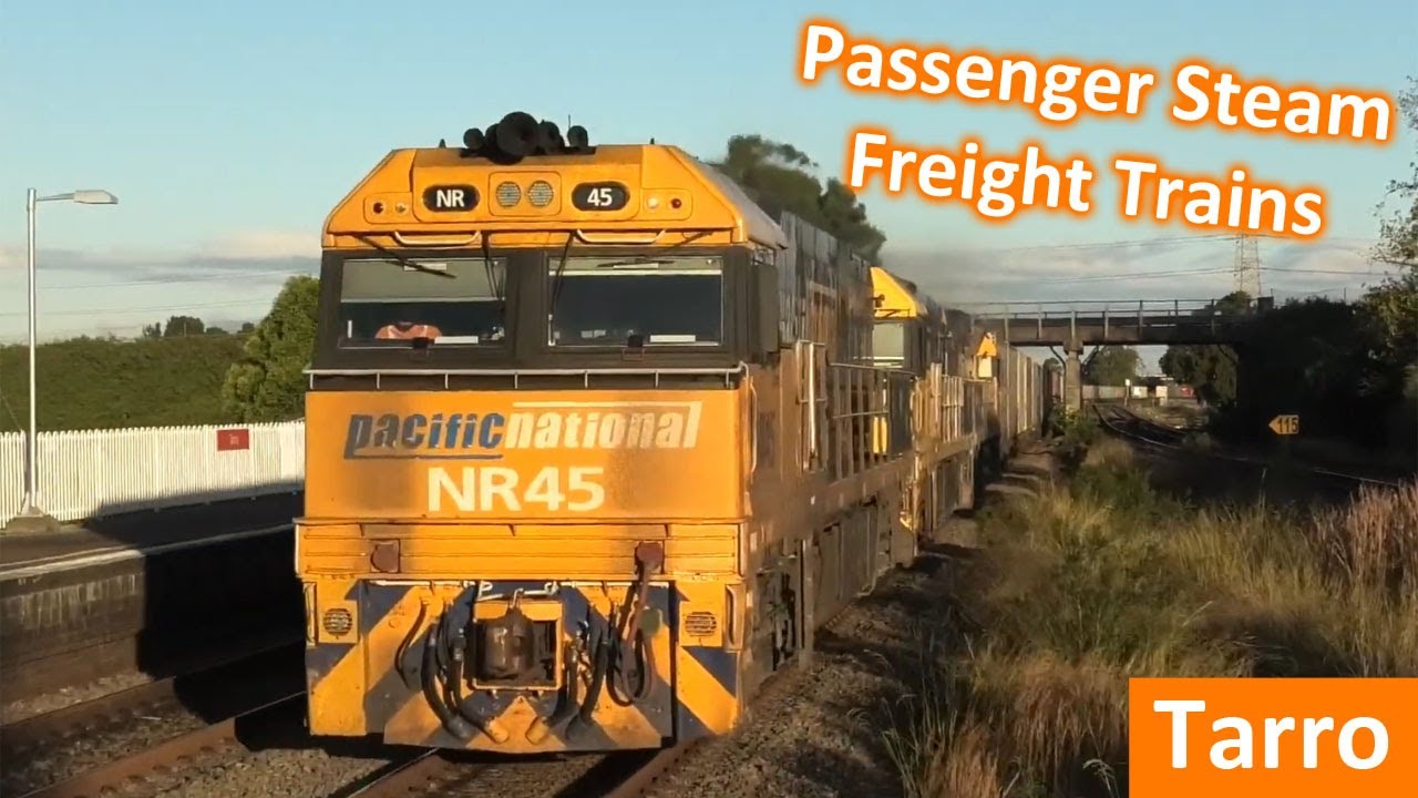 Trains at Tarro; Passenger, Steam & Freight Trains - NSW Transport