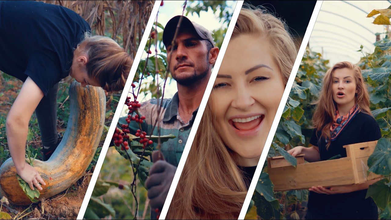 O agro é tudo - Bia Socek [CLIPE OFICIAL] 4K