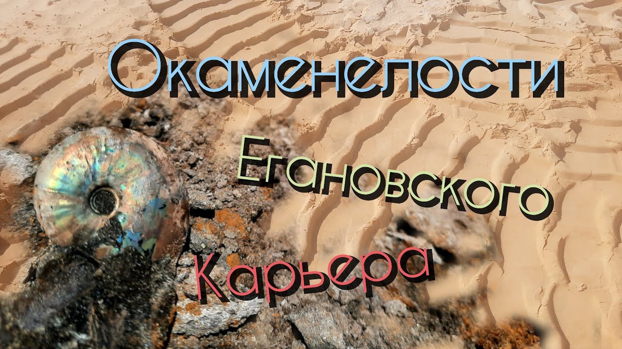 Окаменелости Егановского карьера. Ищем аммонитов.